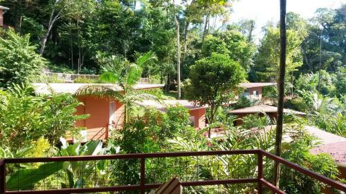 Mar Y Selva Ecolodge