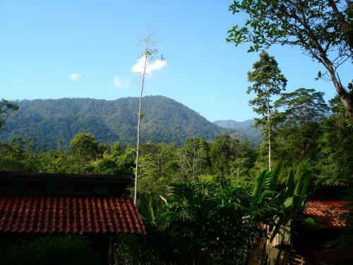 Selva Bananito Lodge
