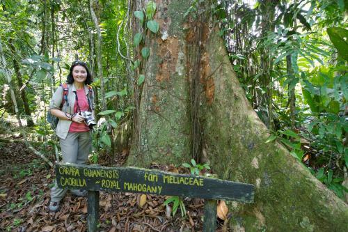 Selva Bananito Lodge