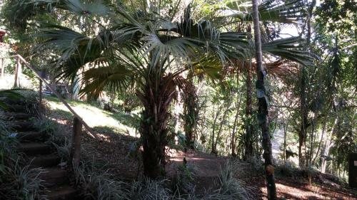 Finca Villa Tina Lodge