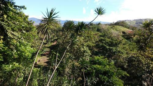 Finca Villa Tina Lodge