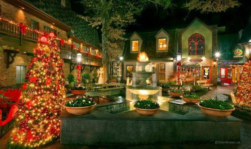 Summit Sanctuary Holiday Home
