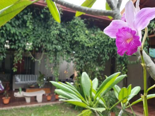 Turrialba Bed & Breakfast