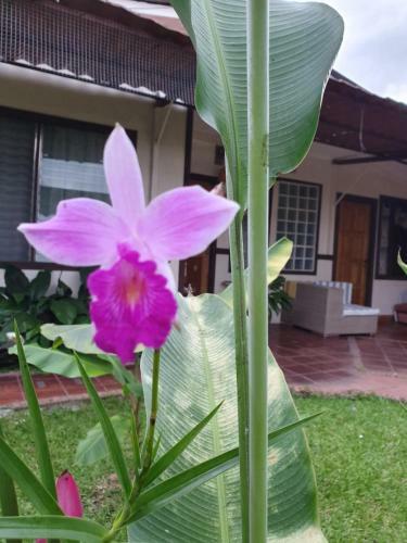 Turrialba Bed & Breakfast