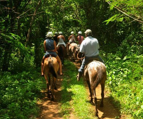 Pacuare River Lodge