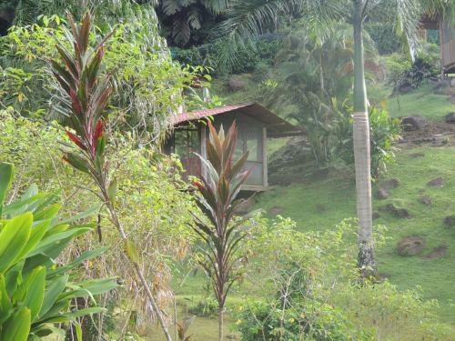 Pacuare River Lodge