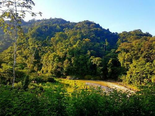 Pacuare River Lodge