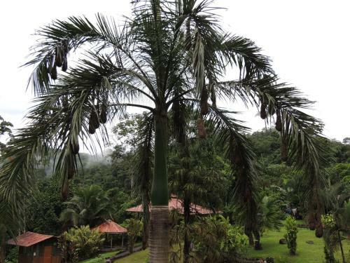 Pacuare River Lodge