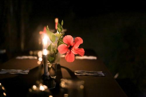 Pacuare River Lodge