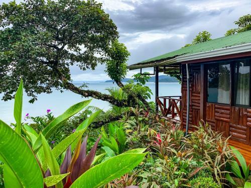 Las Cotingas Lodge