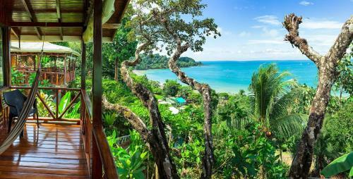 Las Cotingas Lodge