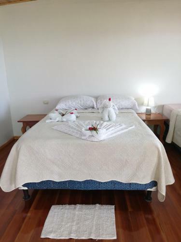 Las Cotingas Lodge