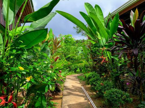Las Cotingas Lodge