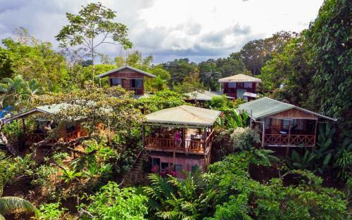 Las Cotingas Lodge