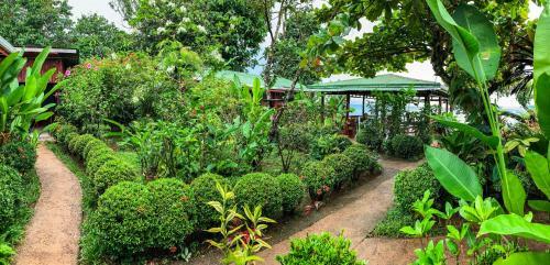 Las Cotingas Lodge