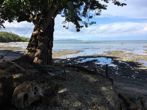 Apartamento Howler Monkey Hotel