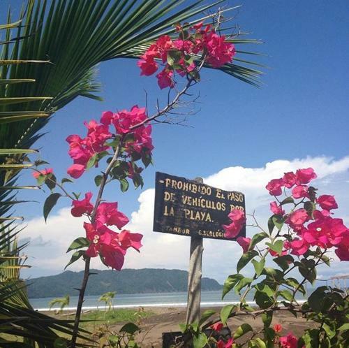 Lodge Hotel Mar Y Sol