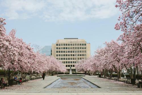 Hotel Hilton Washington Dc National Mall