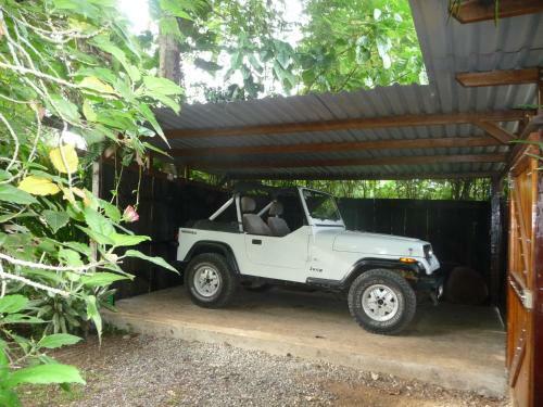 Topos Tree House