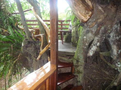 Topos Tree House