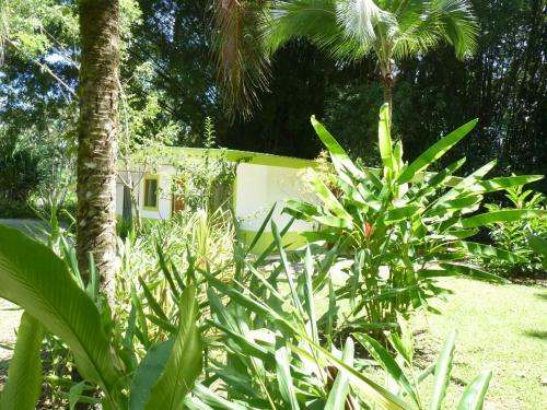 Lodge 3 Bamboo