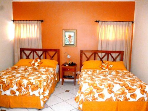 Hotel Hostal Green Frog