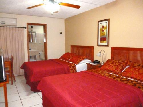 Hotel Hostal Green Frog
