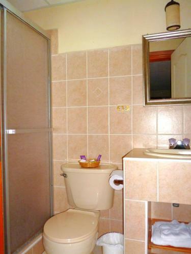 Hotel Hostal Green Frog