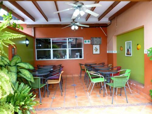 Hotel Hostal Green Frog