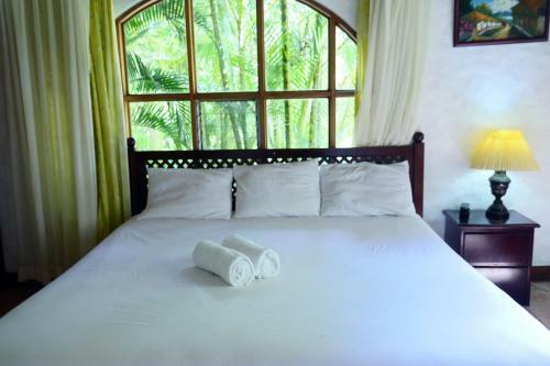 Hotel Rio Perlas