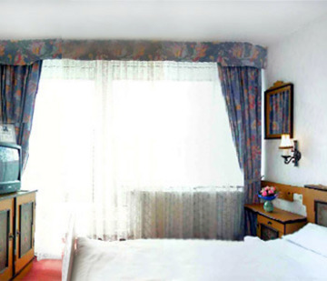 Hotel Wallis