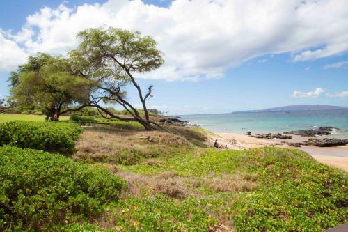 Apartamento Hale Kamaole #163