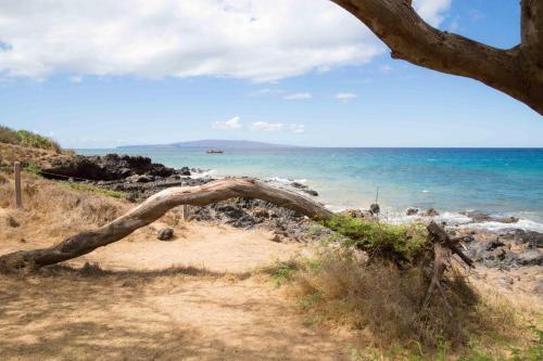 Apartamento Hale Kamaole #163