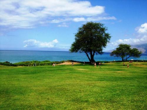 Apartamento Kamaole Sands #9-207 Condo