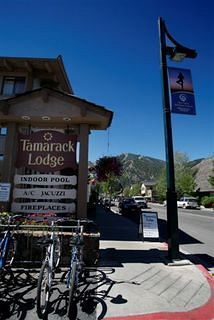 Hotel Tamarack Lodge