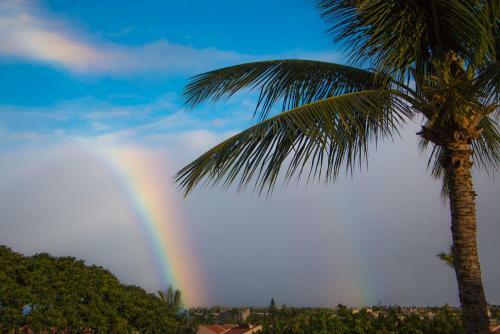 Apartamento Maui Kamaole #i-215 Condo