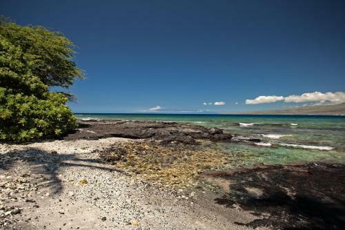 4bd Estate Home At Puako Bay (74)