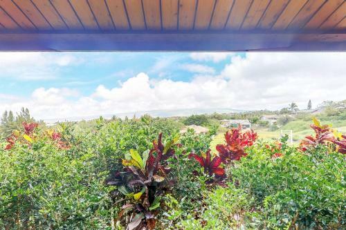 Hale O' Waikoloa