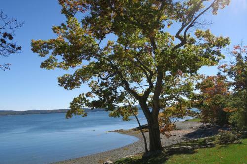 Acadia Ocean Front Garden Cottages