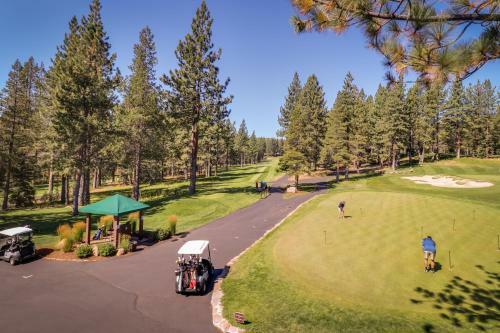 Pine Tree Paradise
