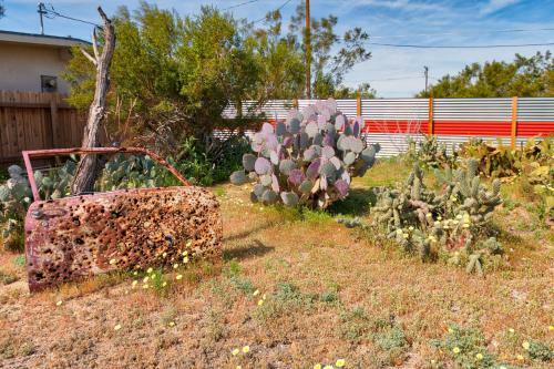 Cactus Adobe