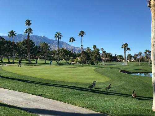 Villa Desert Princess Country Club
