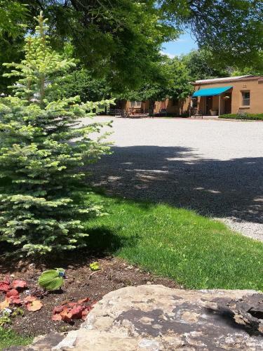 Motel Stone Lizard Lodging