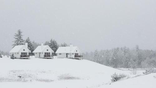 Owl's Nest Resort