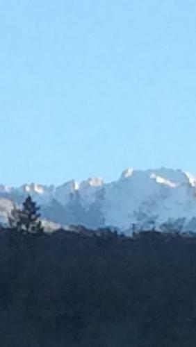 Alta Peak Vista