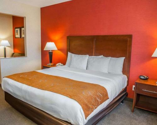 Hotel Comfort Suites Fishers/indianapolis Northeast