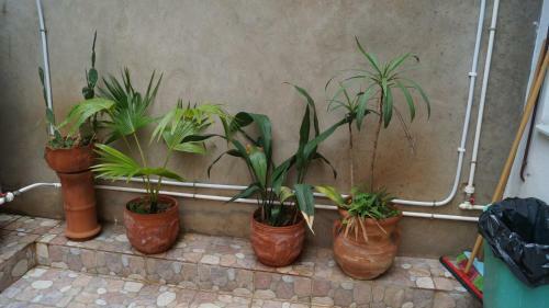 Apartamento Chezlo