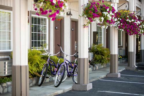 Posada Earthbox Inn & Spa