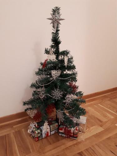 Apartman Ana