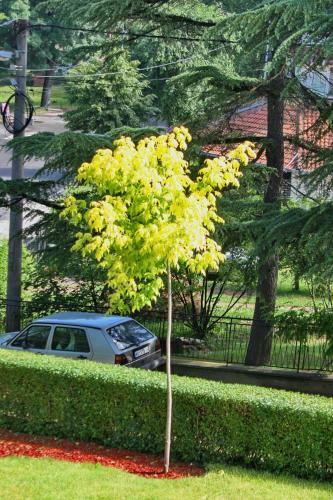 Apartmani15